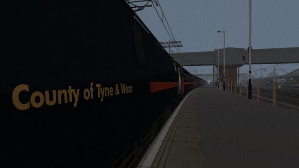 C91_GNER_ECMLS