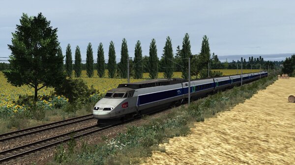 La ligne de la Bosse